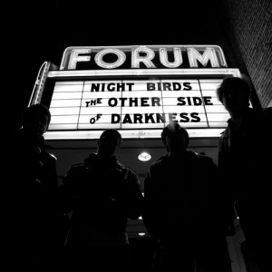 cover-night-birds-darkness