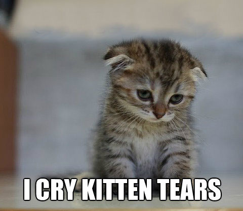 sad-kitten